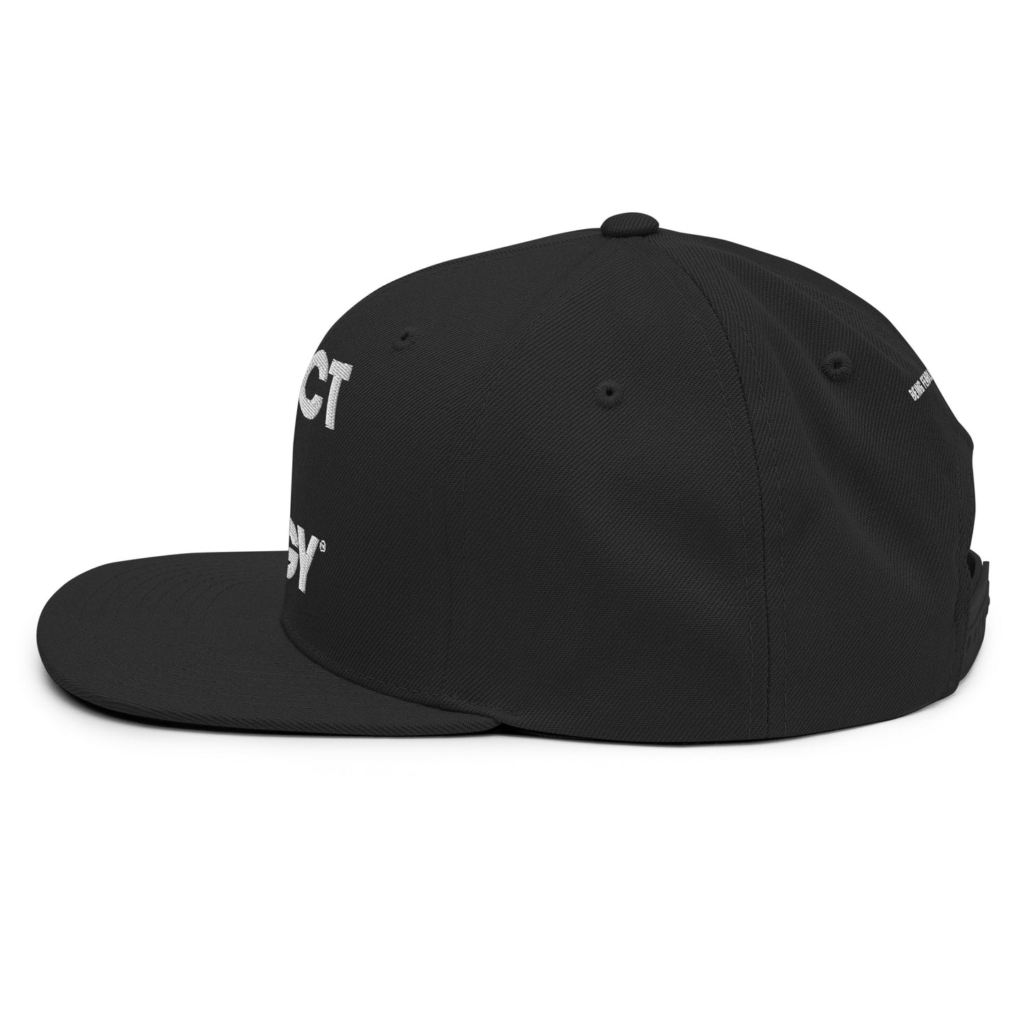 Protect Yo Energy Snapback Hat